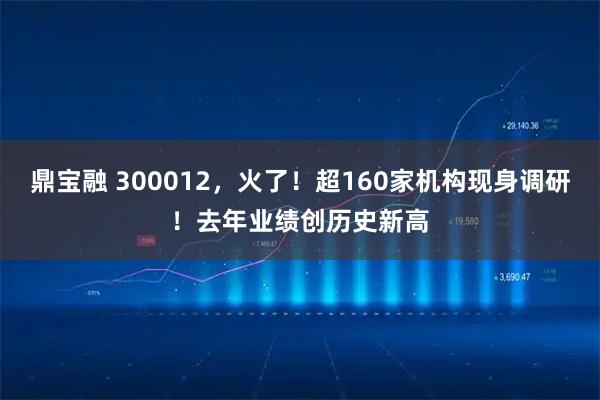 鼎宝融 300012，火了！超160家机构现身调研！去年业绩创历史新高
